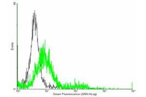 FACS analysis of negative control 293 cells (Black) and TIAM2 expressing 293 cells (Green) using TIAM2 purified MaxPab mouse polyclonal antibody.