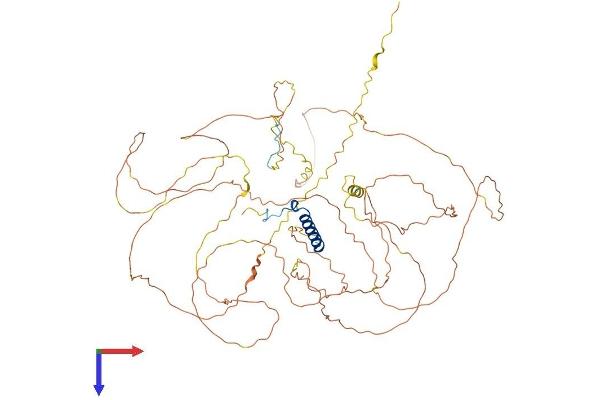 NUFIP2 Protein (AA 1-695) (His tag)