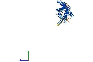 AlphaFold protein structure predicition of Human Recombinant LPAR1 Protein, UniprotID Q92633