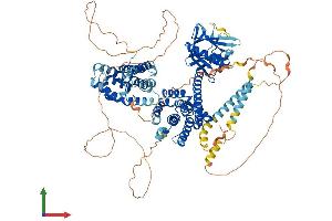 Protein Structure (PS) image for rho Guanine Nucleotide Exchange Factor (GEF) 1 (ARHGEF1) (AA 1-912) protein (His tag) (ABIN7552379)