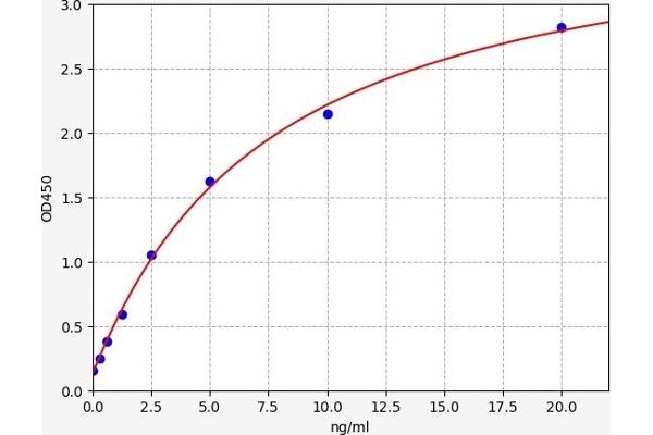 SLC40A1 ELISA 试剂盒