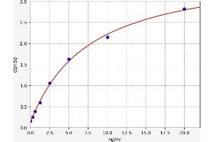 Typical standard curve (SLC40A1 ELISA 试剂盒)