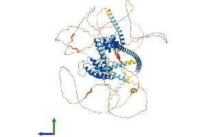Protein Structure (PS) image for Protein Phosphatase 1, Regulatory Subunit 12B (PPP1R12B) (AA 1-976) protein (His tag) (ABIN7564334)