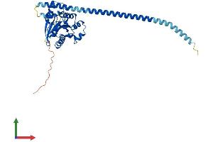 Protein Structure (PS) image for GTPase, IMAP Family Member 2 (GIMAP2) (AA 1-337) protein (His tag) (ABIN7547923)
