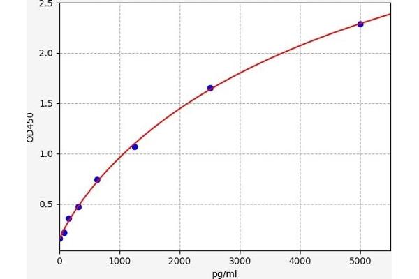 JAK3 ELISA 试剂盒