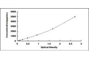 Typical standard curve (MIA ELISA 试剂盒)