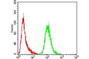 Flow Cytometry (FACS) image for anti-NADPH Oxidase 4 (NOX4) (AA 210-310) antibody (ABIN5872374) (NADPH Oxidase 4 抗体  (AA 210-310))