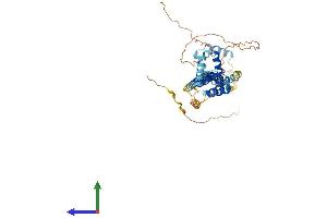 Protein Structure (PS) image for Pre-B-Cell Leukemia Homeobox Protein 2 (PBX2) (AA 1-430) protein (His tag) (ABIN7562397)