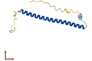 Protein Structure (PS) image for CAMP Responsive Element Binding Protein-Like 2 (CREBL2) (AA 1-120) protein (His tag) (ABIN7546766)
