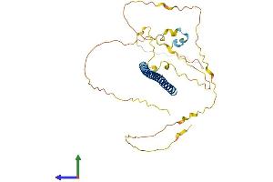 AlphaFold protein structure predicition of Human Recombinant FOSL2 Protein, UniprotID P15408