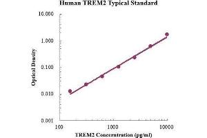 Triggering Receptor Expressed On Myeloid Cells 2 (TREM2) ELISA Kit