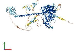 Protein Structure (PS) image for IQ Motif Containing H (IQCH) (AA 1-1071) protein (His tag) (ABIN7564975)