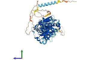 Protein Structure (PS) image for UDP-N-Acetyl-alpha-D-Galactosamine:polypeptide N-Acetylgalactosaminyltransferase 14 (GalNAc-T14) (GALNT14) (AA 1-638) protein (His tag) (ABIN7564976)