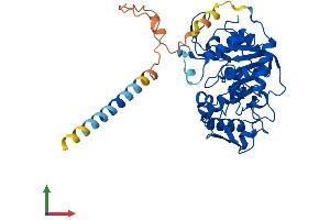 Protein Structure (PS) image for ST8 alpha-N-Acetyl-Neuraminide alpha-2,8-Sialyltransferase 3 (ST8SIA3) (AA 1-380) protein (His tag) (ABIN7557850)