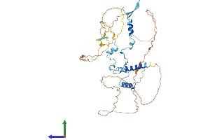 AlphaFold protein structure predicition of Mouse Recombinant Gpatch4 Protein, UniprotID Q3TFK5