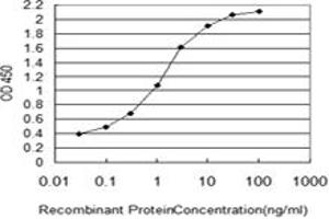 Image no. 3 for anti-Nucleoporin 133kDa (NUP133) (AA 1069-1156) antibody (ABIN599269) (NUP133 抗体  (AA 1069-1156))