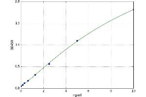 Phosphatidylinositol-3,4,5-Trisphosphate-Dependent Rac Exchange Factor 1 (PREX1) ELISA Kit