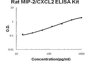 Rat CXCL2/MIP-2 Accusignal ELISA Kit Rat CXCL2/MIP-2 AccuSignal ELISA Kit standard curve. (CXCL2 ELISA 试剂盒)