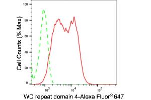 Flow cytometric analysis of WD repeat domain 4 expression in HepG2 cells using WD repeat domain 4 antibody (ABIN7800853), 1:2,000). (Recombinant WDR4 抗体)