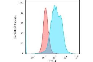 Flow Cytometric Analysis of PFA-fixed K562 cells using Calponin Rabbit Recombinant MAb(CNN1/1408R) followed by Goat anti-Rabbit- IgG-CF488 (Blue); Isotype Control (Red). (Recombinant CNN1 抗体)