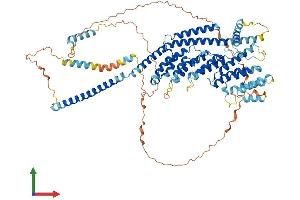Protein Structure (PS) image for GC-Rich Sequence DNA-Binding Factor 2 (GCFC2) (AA 1-769) protein (His tag) (ABIN7564380)