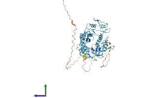 Protein Structure (PS) image for Zinc Finger Protein 490 (ZNF490) (AA 1-529) protein (His tag) (ABIN7545660)