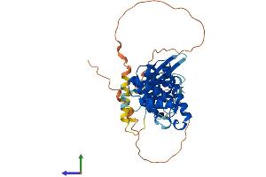 Protein Structure (PS) image for Sorting Nexin 21 (SNX21) (AA 1-373) protein (His tag) (ABIN7546140)