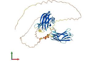 Protein Structure (PS) image for Synaptotagmin XIII (SYT13) (AA 1-426) protein (His tag) (ABIN7544093)