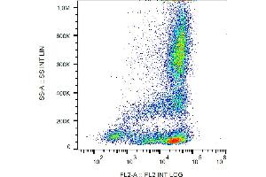 Flow cytometry analysis (surface staining) of human peripheral blood cells with anti-CD62L (LT-TD180) PE.