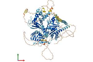 AlphaFold protein structure predicition of Human Recombinant DDX11 Protein, UniprotID Q96FC9