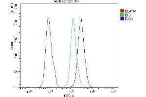 Flow Cytometry analysis of 293T cells using anti-PAX1 antibody (ABIN7600659).