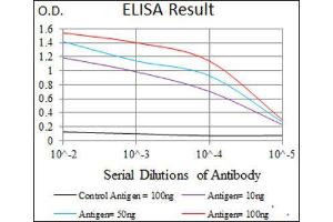 ELISA image for anti-ATP Citrate Lyase (ACLY) (AA 306-502) antibody (ABIN1842880)