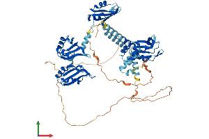 Protein Structure (PS) image for Poly(A) Binding Protein, Cytoplasmic 1 (PABPC1) (AA 1-636) protein (His tag) (ABIN7554873)