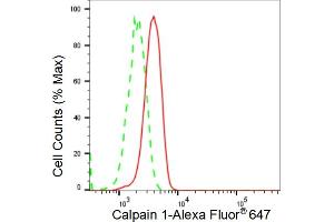 Flow cytometric analysis of Calpain 1 expression in C2C12 cells using Calpain 1 antibody (ABIN7797846), 1:2,000). (Recombinant CAPN1 抗体)