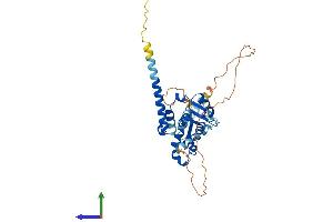 Protein Structure (PS) image for Melanoma Antigen Family B, 1 (MAGEB1) (AA 1-347) protein (His tag) (ABIN7549146)