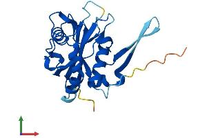 AlphaFold protein structure predicition of Mouse Recombinant Nudt8 Protein, UniprotID Q9CR24