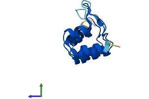 Protein Structure (PS) image for Cyclin-Dependent Kinase Inhibitor 2B (p15, Inhibits CDK4) (CDKN2B) (AA 1-130) protein (His tag) (ABIN7556464)
