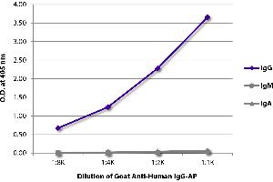 ELISA plate was coated with purified human IgG, IgM, and IgA. (山羊 anti-人 IgG (Heavy Chain) Antibody (Alkaline Phosphatase (AP)))