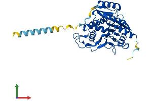 Protein Structure (PS) image for UDP-Gal:betaGlcNAc beta 1,3-Galactosyltransferase, Polypeptide 5 (B3GALT5) (AA 1-308) protein (His tag) (ABIN7561533)