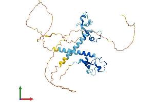 Protein Structure (PS) image for Muscleblind-Like 2 (MBNL2) (AA 1-373) protein (His tag) (ABIN7559102)