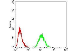 Flow Cytometry (FACS) image for anti-RAD21 Homolog (RAD21) (AA 287-403) antibody (ABIN5542652)