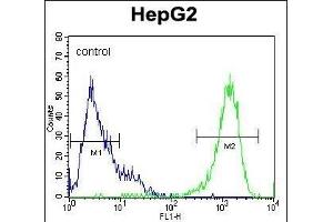PK1 Antibody (C-term) (ABIN1882175 and ABIN2841383) flow cytometric analysis of HepG2 cells (right histogram) compared to a negative control cell (left histogram).