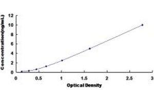 Typical standard curve (WASF2 ELISA 试剂盒)