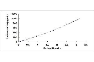 ELISA image for Copeptin (CPP) ELISA Kit (ABIN414971)