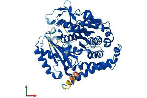 Protein Structure (PS) image for Tubulin beta 4a (TUBB4A) (AA 1-444) protein (His tag) (ABIN7561040)