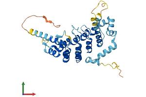 AlphaFold protein structure predicition of Mouse Recombinant Ankrd9 Protein, UniprotID Q8BH83 (ANKRD9 Protein (AA 1-326) (His tag))