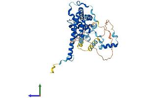 Protein Structure (PS) image for Zinc Finger, HIT-Type Containing 2 (ZNHIT2) (AA 1-403) protein (His tag) (ABIN7545856)