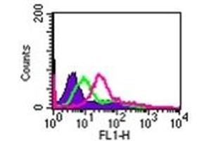 Image no. 3 for anti-Interleukin 24 (IL24) (AA 100-150) antibody (ABIN302672) (IL-24 抗体  (AA 100-150))