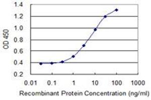 ELISA image for anti-Solute Carrier Family 26 (Sulfate Transporter), Member 2 (SLC26A2) (AA 1-108) antibody (ABIN515087)