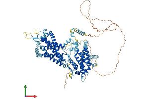 Protein Structure (PS) image for Transmembrane Protein 48 (TMEM48) (AA 1-673) protein (His tag) (ABIN7559809)